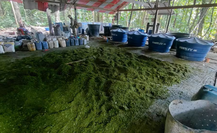 PF e polícia peruana destroem laboratórios e 6,2 toneladas de cocaína na fronteira com o Amazonas