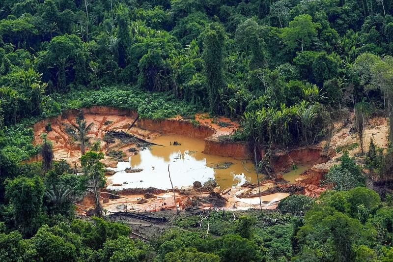 Justiça Federal torna réus ex-cacique e gerente de garimpo por devastação de 108 hectares no Amazonas