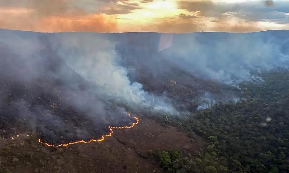 Queimada em época de seca no Amazonas é crime. Imagem: Divulgação (WEB).