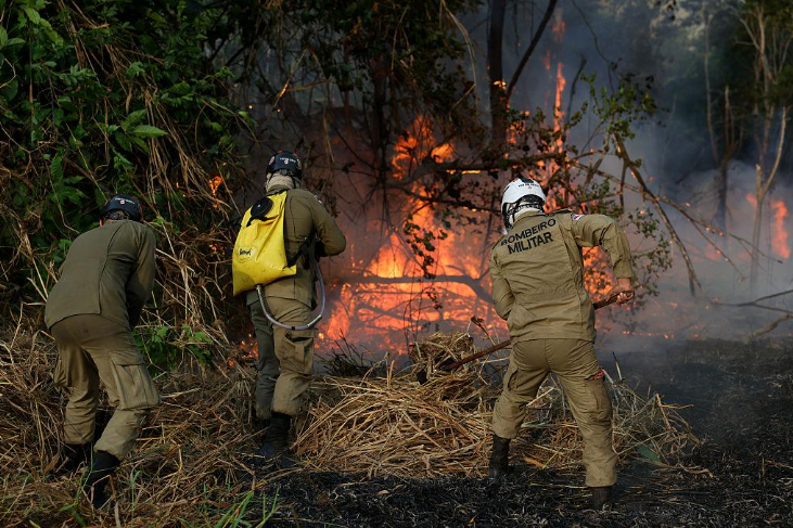 ALERTA NO AMAZONAS: FUMAÇA DAS QUEIMADAS PODE VOLTAR A CASTIGAR MANAUS; GOVERNO MOBILIZA COMITÊ DE EMERGÊNCIA