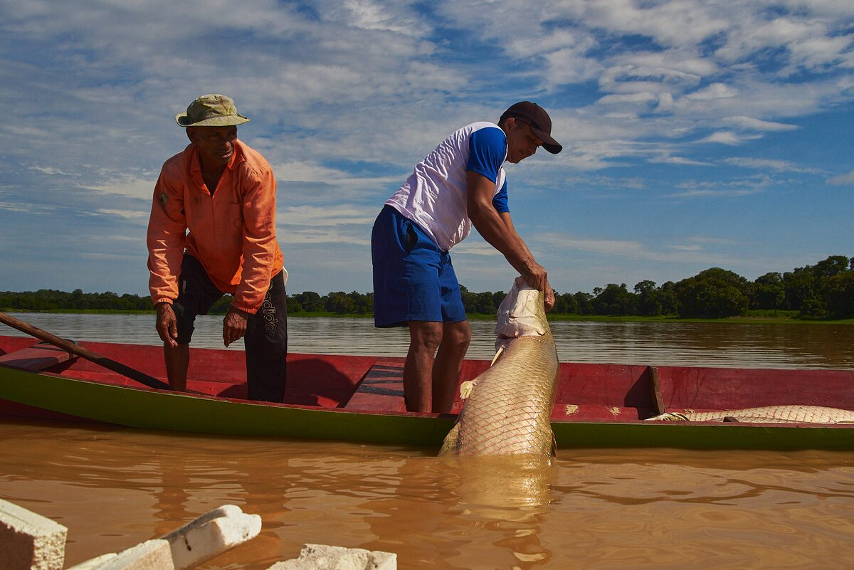 Defeso vem aí: pescador do Amazonas precisa ficar atento às espécies e às regras