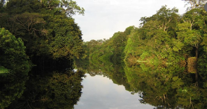 Fogo ameaça área de preservação no Alto Solimões e Ministério Público cobra providências em Tonantins
