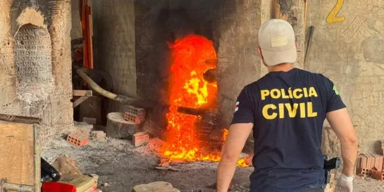 Polícia incinera cerca de 300 quilos de drogas apreendidas em Jutaí
