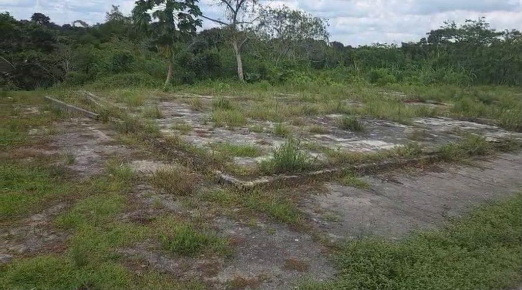 Imagem: Divulgação/ DPE-AM