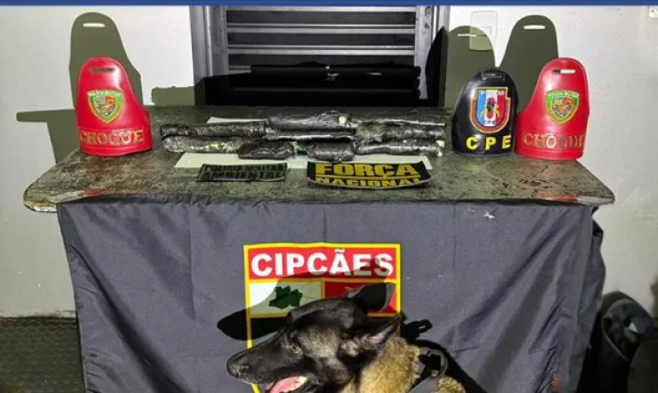 Cão farejador descobre esconderijo com R$ 700 mil em drogas em barco que saiu de Tabatinga para Manaus
