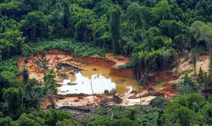 Justiça Federal torna réus ex-cacique e gerente de garimpo por devastação de 108 hectares no Amazonas