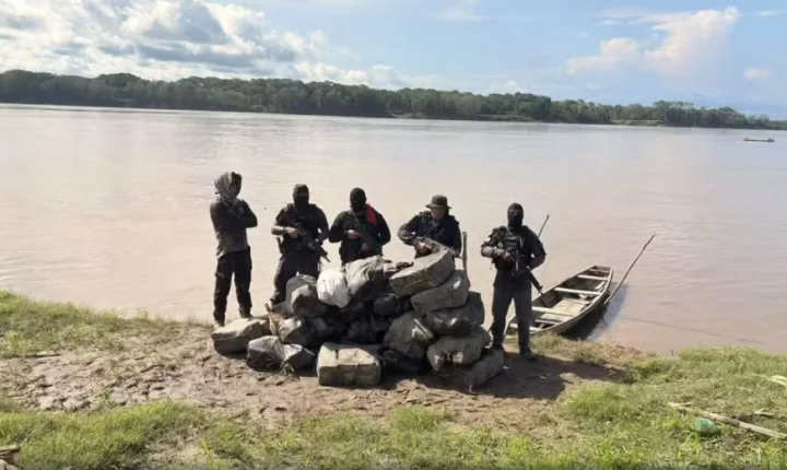 PM apreende 752 quilos de skunk escondidos em área de mata em Benjamin Constant